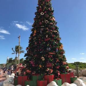 Meet your Posher, Claire